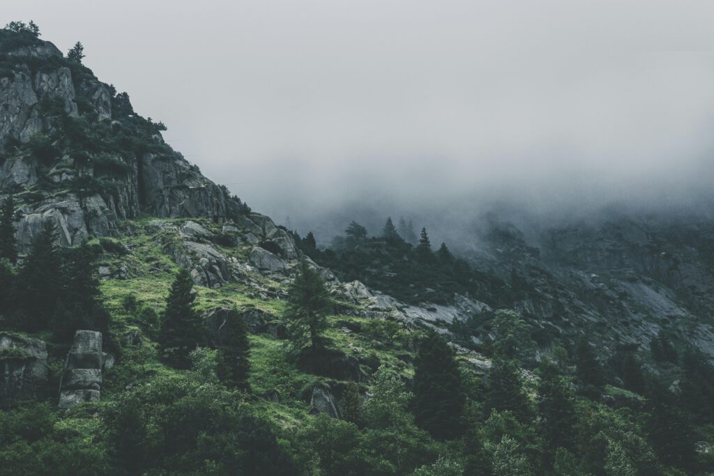 natur